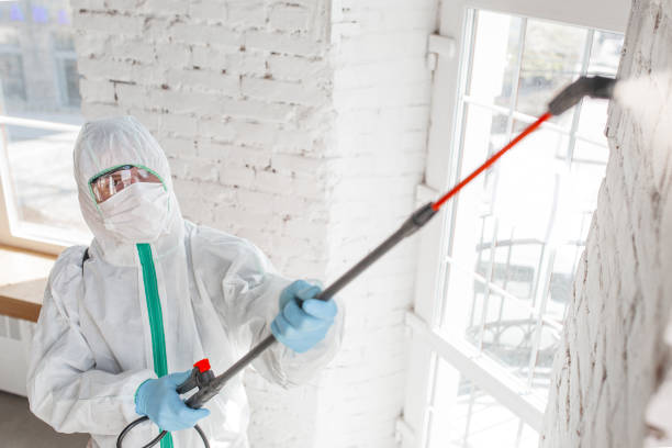 Best Emergency Mold Remediation  in Portola, CA