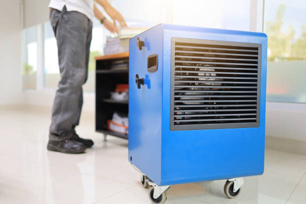 Mold Removal for HVAC Installations in Portola, CA