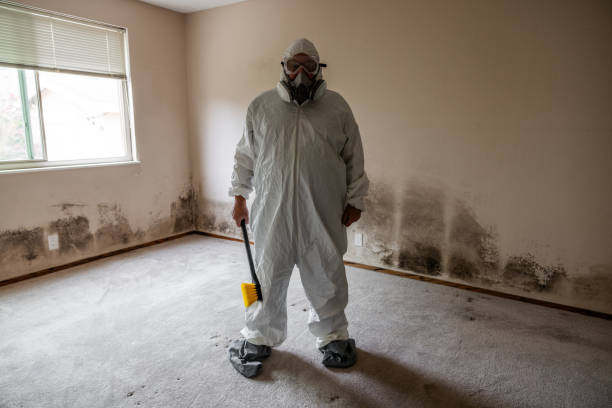Best Real Estate Mold Inspection  in Portola, CA
